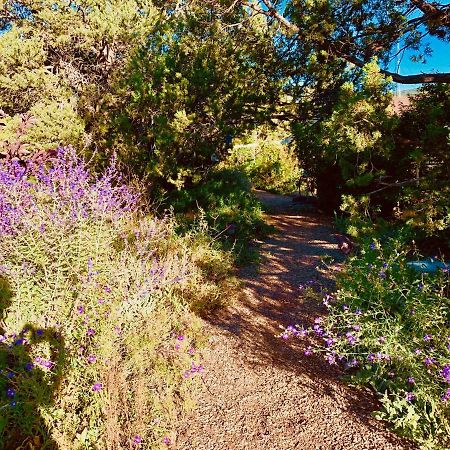 The Yoga Yurta At Sunny Mellow Eco Villa Tijeras Exterior photo